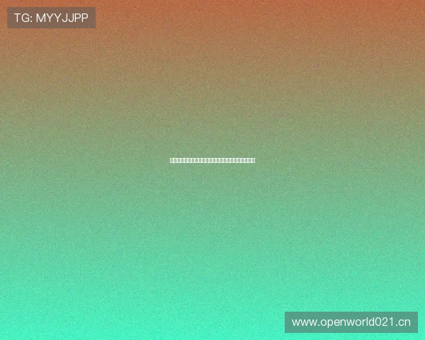 小狐狸官方平台全新上线探索数字生活精彩世界新体验